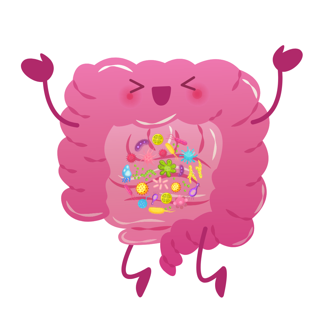 happy gut